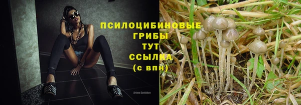 скорость Арсеньев