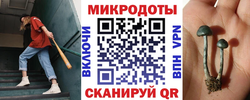 Псилоцибиновые грибы MAGIC MUSHROOMS Хилок